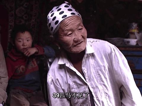 蒙古草原天气晴纪录片图集,蒙古草原天气晴为何突然火了