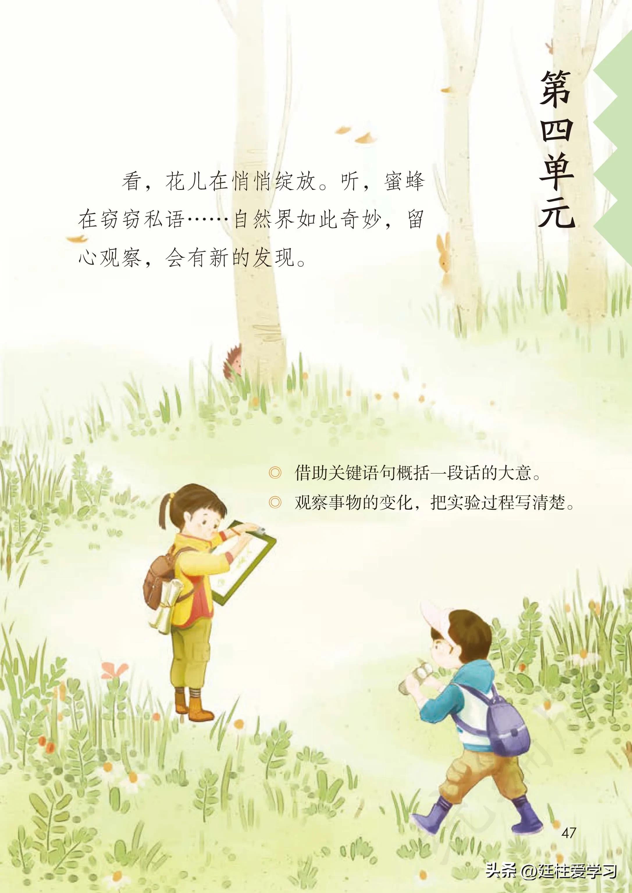 小学语文三年级下册电子版书,小学语文三年级下册知识点