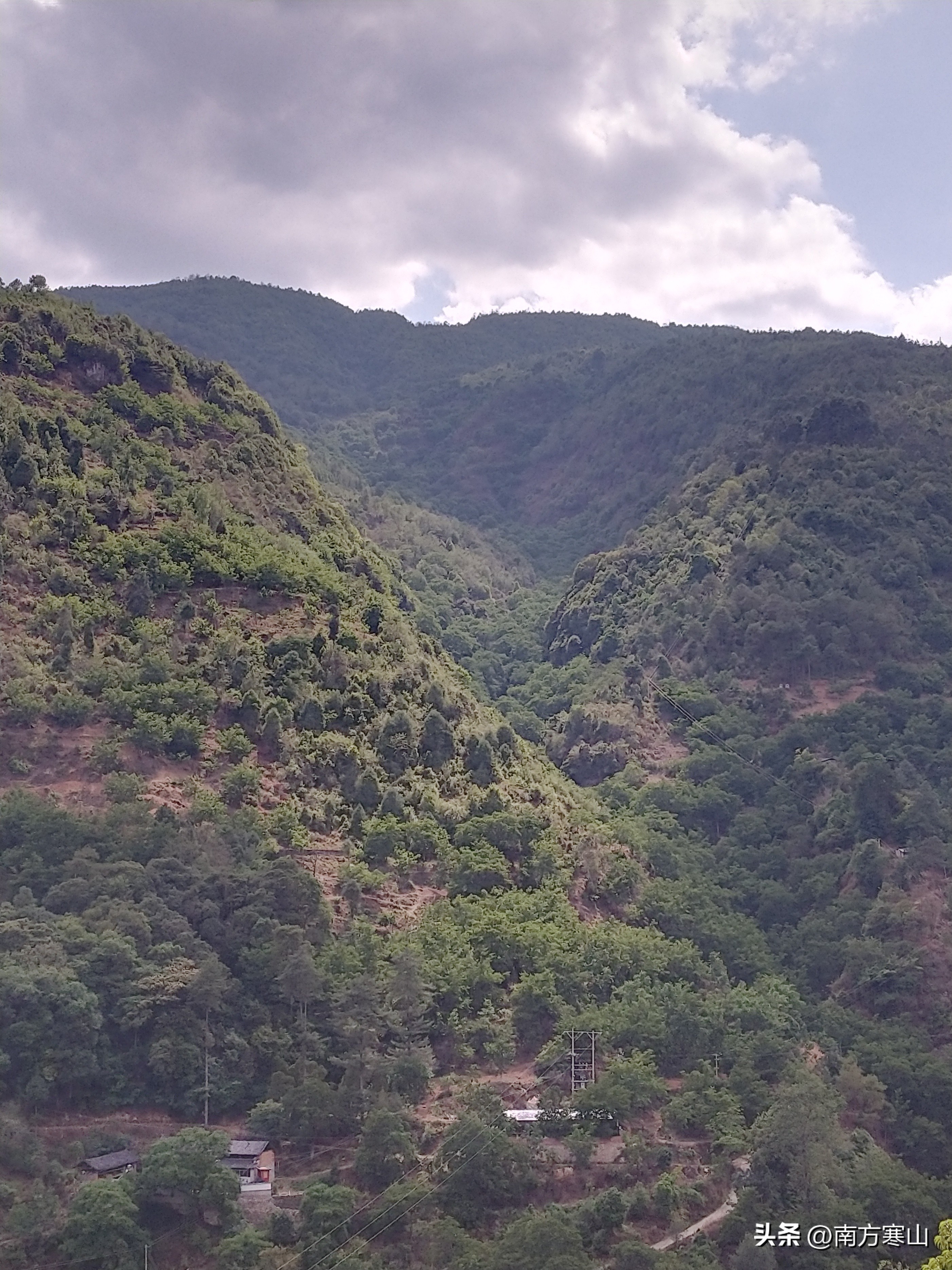 云南野生菌致幻品种,云南野生菌诗句
