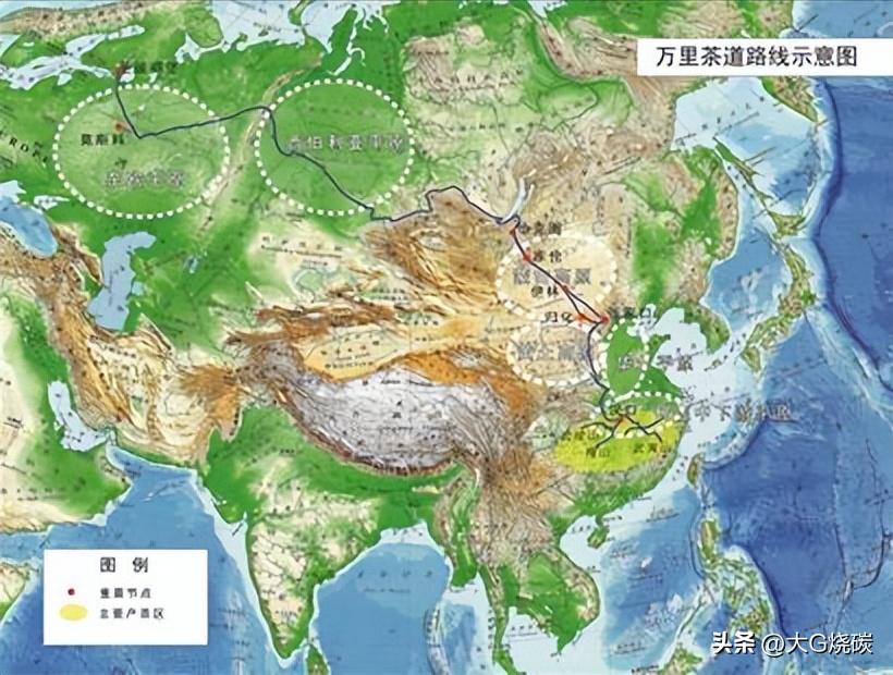 呼市著名烧麦馆,呼市正宗烧麦在哪吃