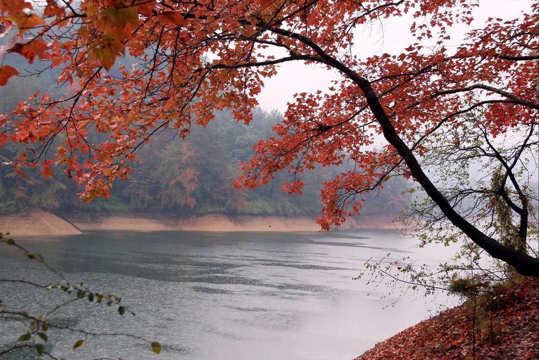 绝世之学:引导人的思想行为