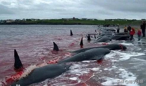 日本现在的真实现状地图,日本近期真实画面