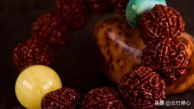 黑金刚能盘吗,黑金刚应该怎么盘