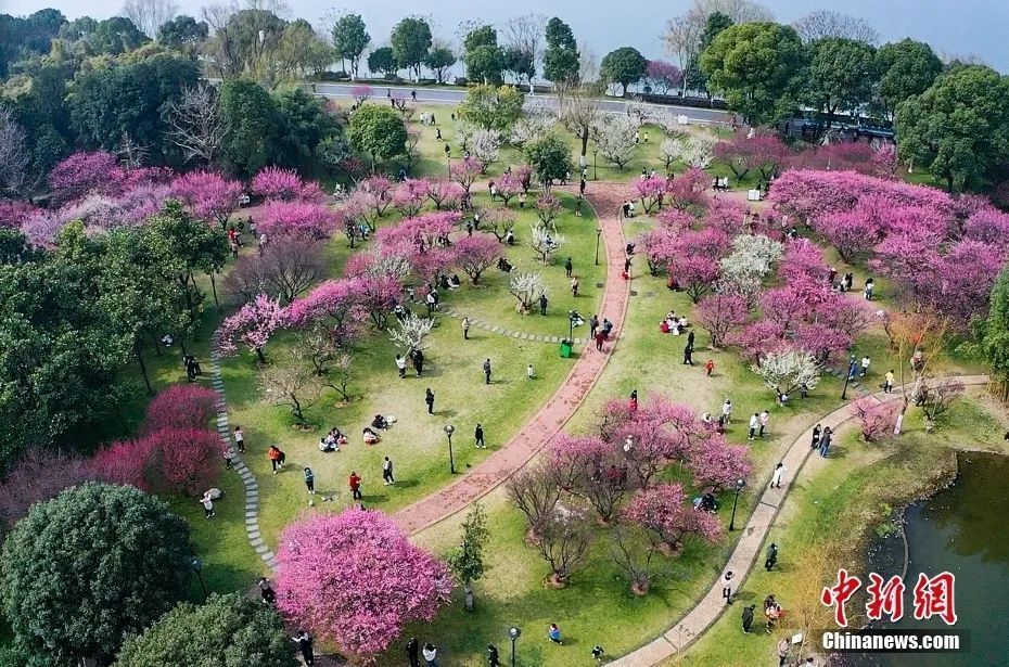 安庆市国家历史文化名城名单,西安历史文化名城保护规划