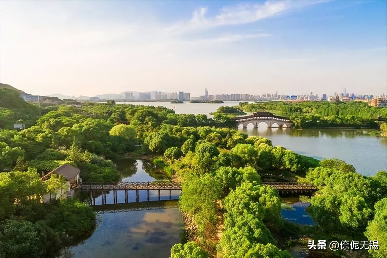 十年耕耘筑精彩华章，浓墨重彩绘美丽无锡