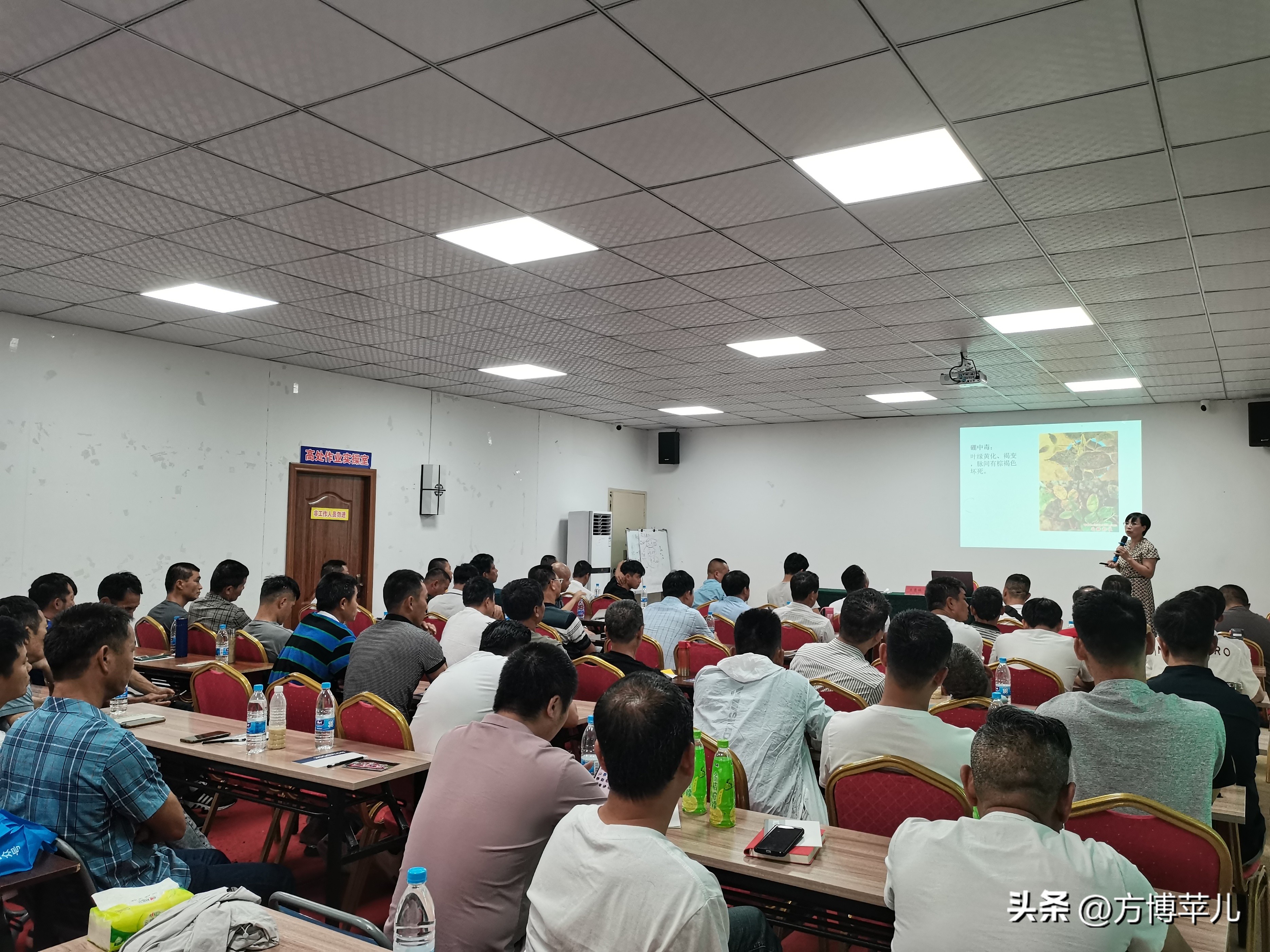 70后乡村振兴新农人,新农人2024年乡村振兴