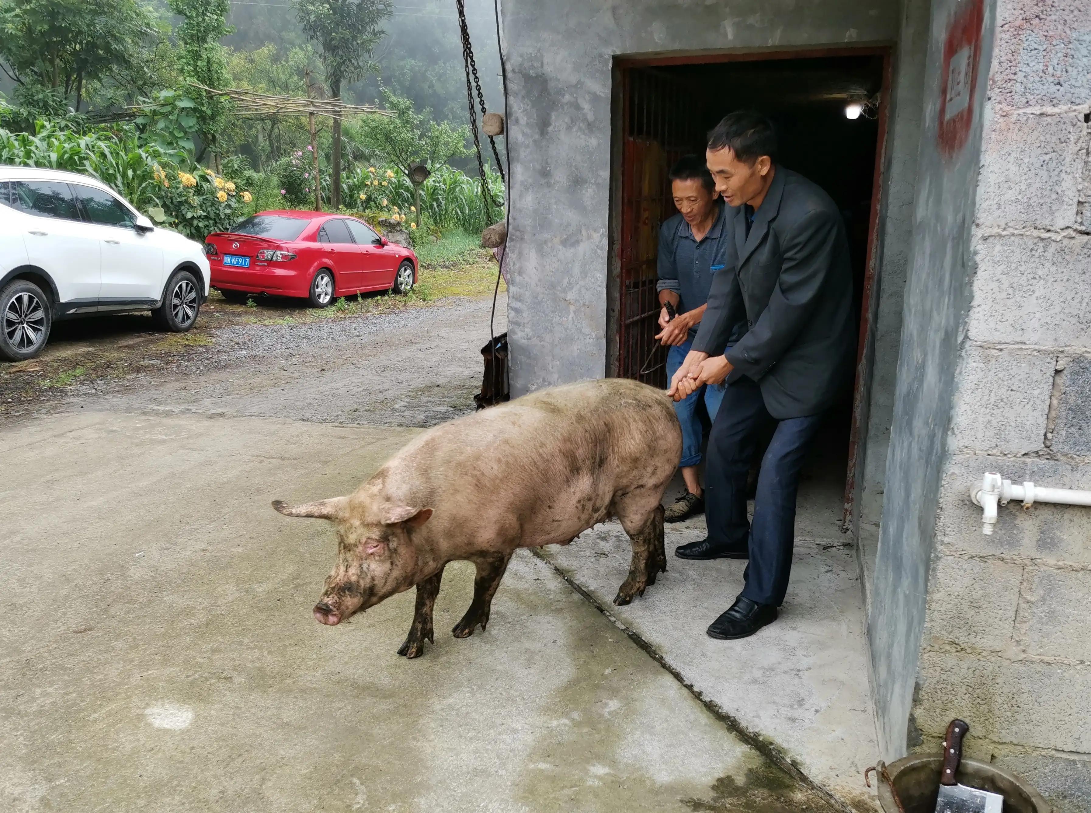 刨锅汤桐梓,刨锅汤餐厅遵义