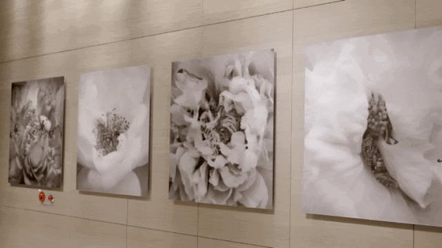 一代乐坛才女的传奇人生：花十余年，收藏千件宝贝