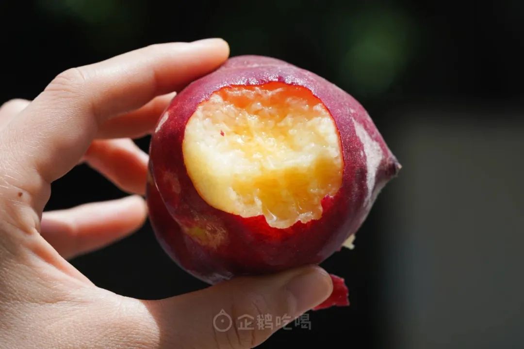 最近新出哪些水果好吃点,十大又贵又不好吃的水果