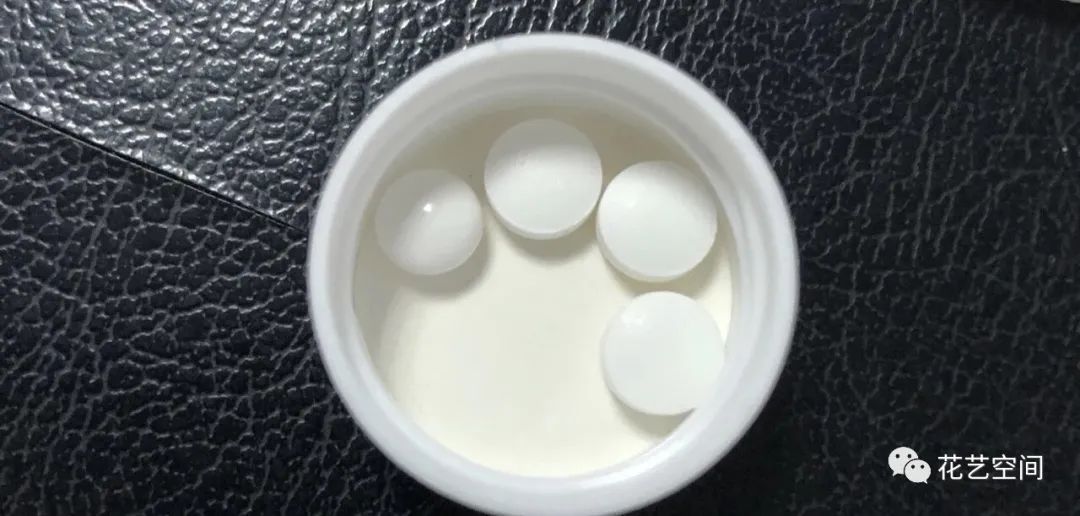 1块钱的“小药片”扔土里，立马变“肥土”，枝壮叶肥，生长旺！