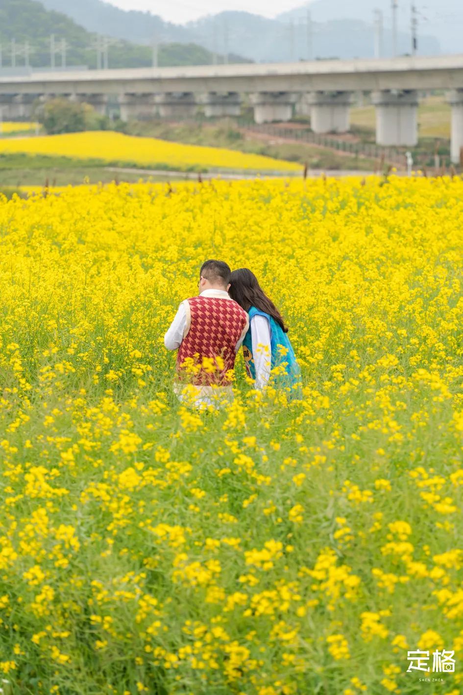深圳冬天约会有哪些好去处,情侣游玩约会好去处深圳