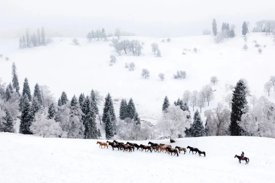 火了！新源又火了！全国瞩目，未来发展不可估量！为你的家乡比心