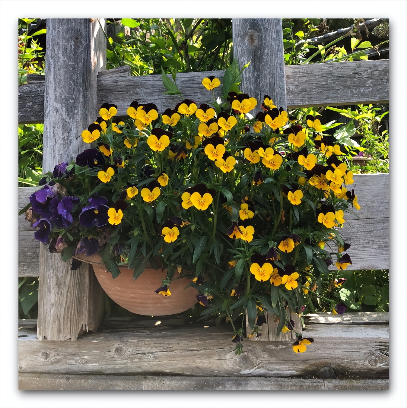 日本旅游大阪住宿推荐,日本旅游住宿民宿