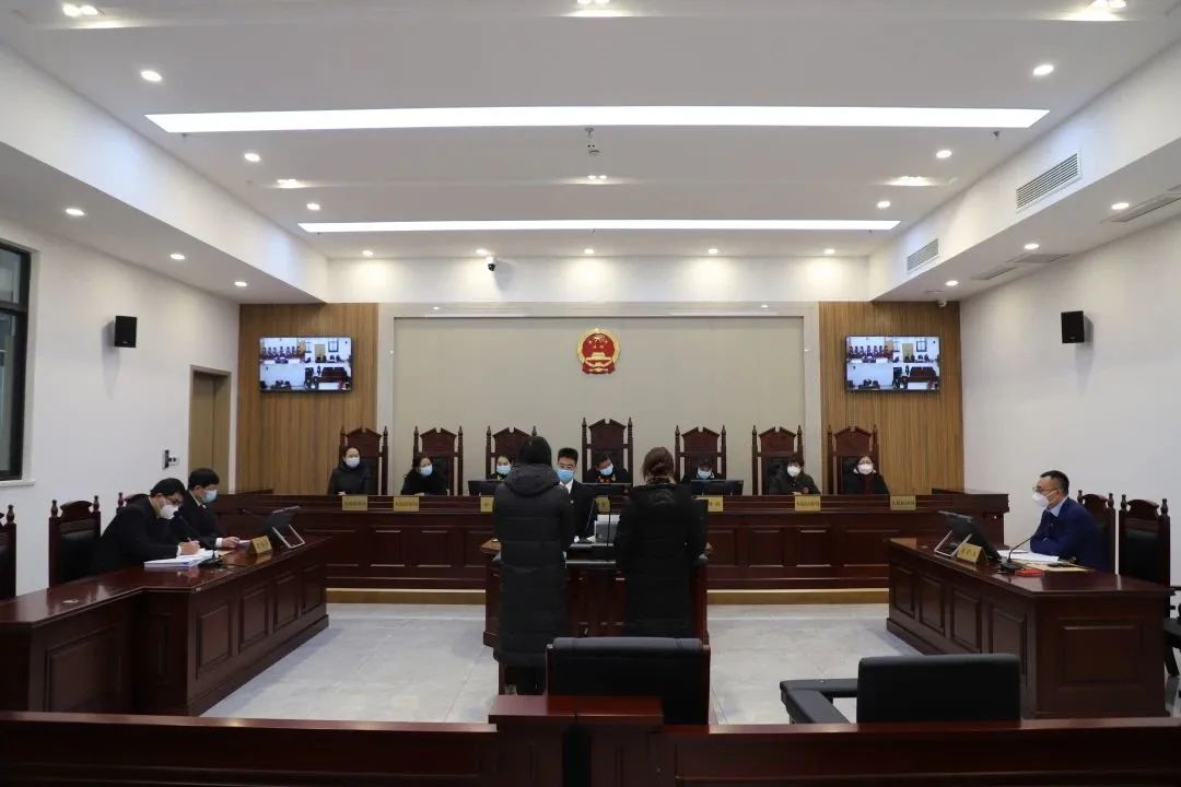 公益诉讼判决后赔款赔不起怎么办,公益诉讼假药