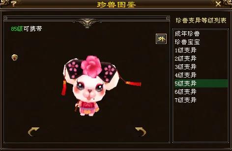 天龙八部手游国际服龙宝宝,天龙八部唐装鼠宝宝怎么获得