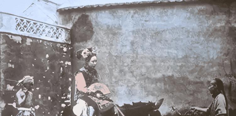 日本731部队的母爱实验,日本731部队母爱实验