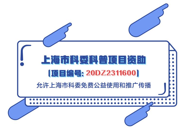 肾脏水泡如何处理,肾脏水泡