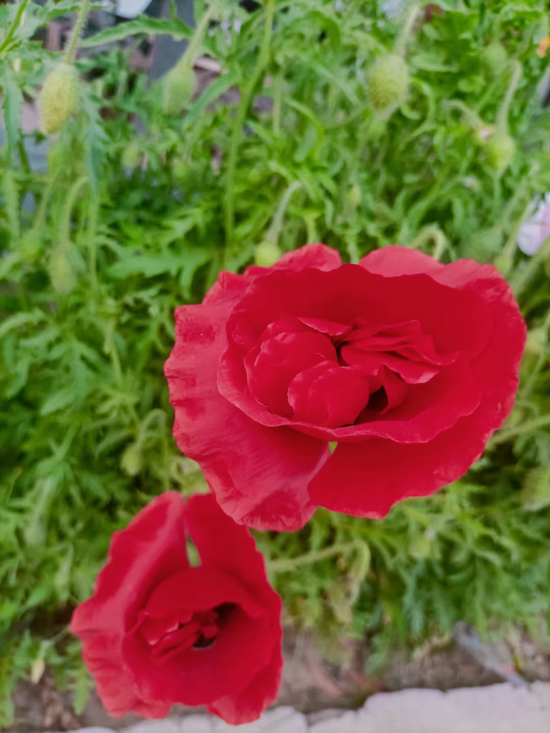 反诈电话提醒是真是假,电话智能反诈功能