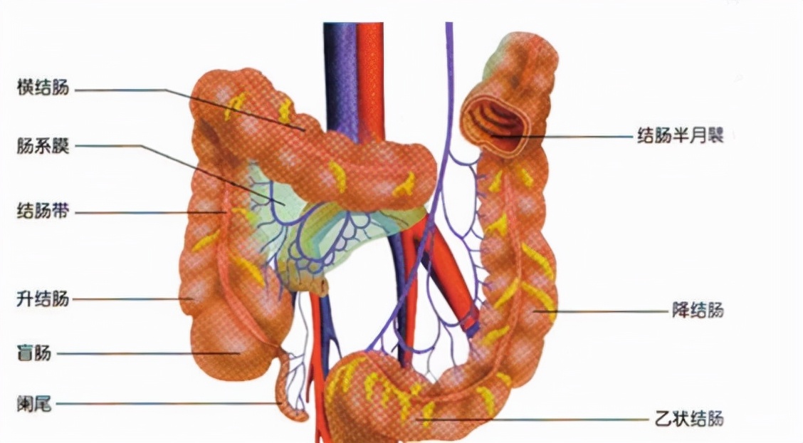 “甲硝唑”便宜又好用，能治什么病？在这5种病中占有一席之地
