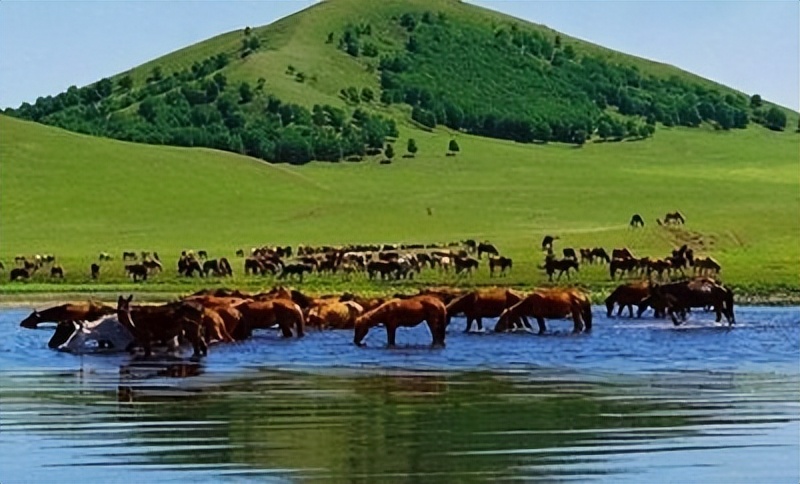 内蒙白酒都有哪些,内蒙酒的十大品牌