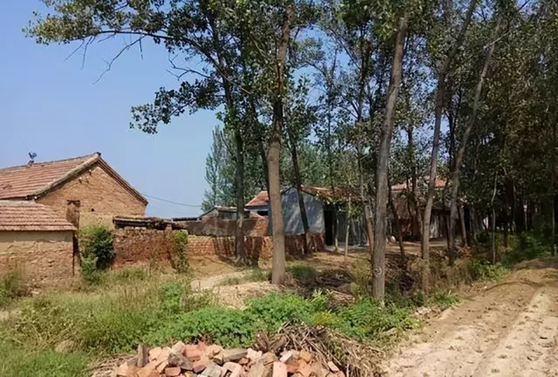 95年吉林农妇好心救毒蛇,吉林农妇好心收养毒蛇