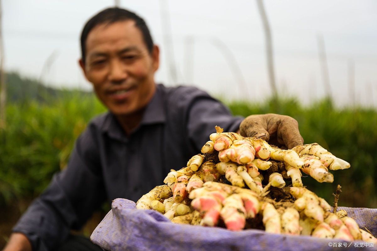 湖南永州有什么特产酒,永州蓝山冬酿黑糊酒