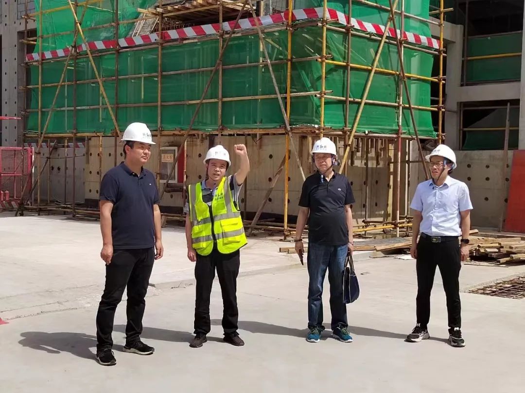 帮代办助力政务服务高效化,帮办代办政务服务