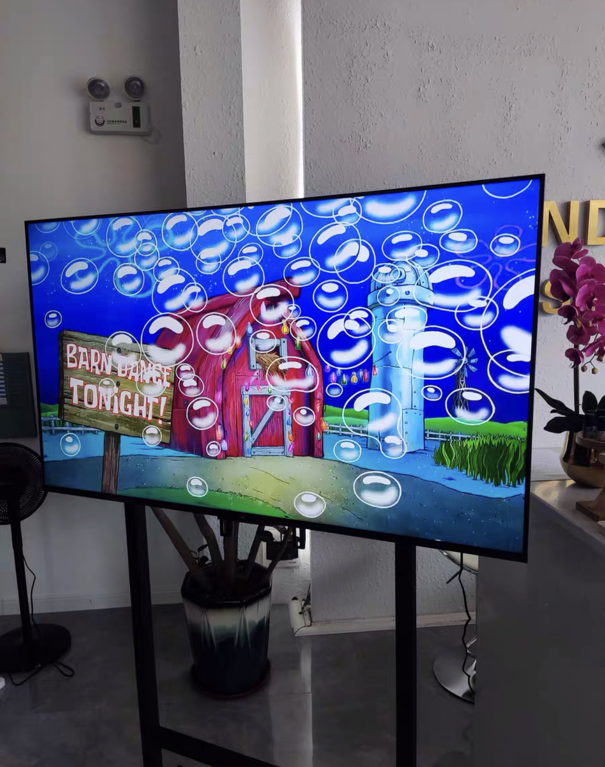 55寸新电视机多少钱合适,55寸的智能电视机哪个最便宜