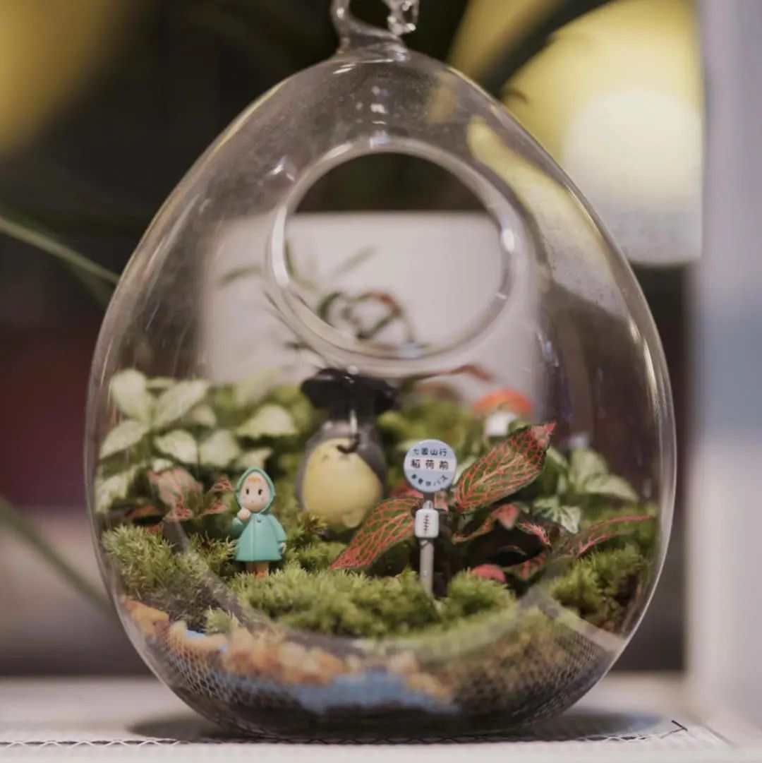 她只想回归自然，开花店却一年净利润50多万元——南宁小姐姐将理想照进了现实