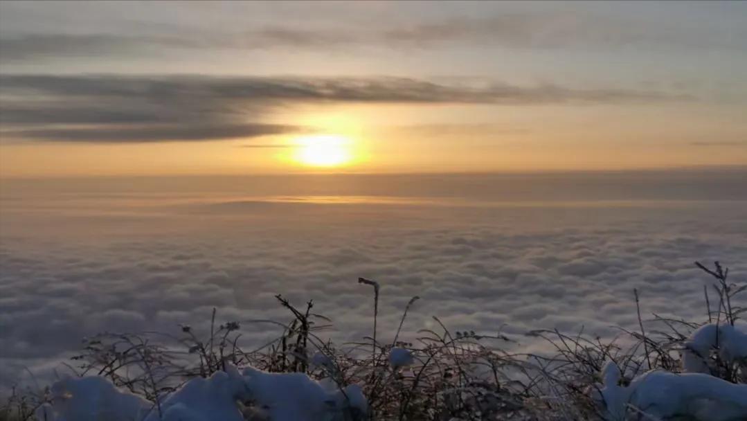 立字为证永不反悔,立字为证