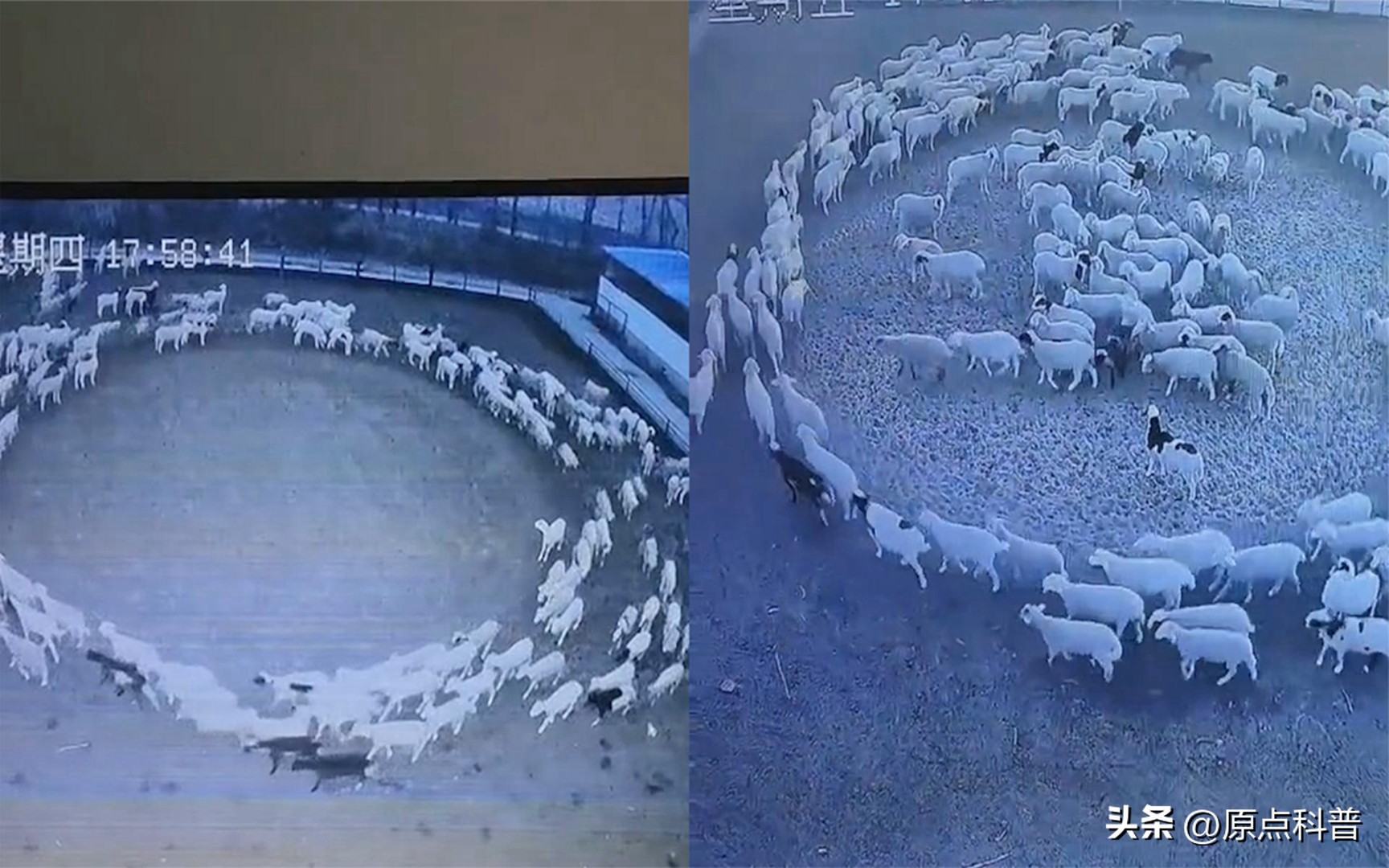 世界上七大离奇事件视频,世界各地发生的奇异现象