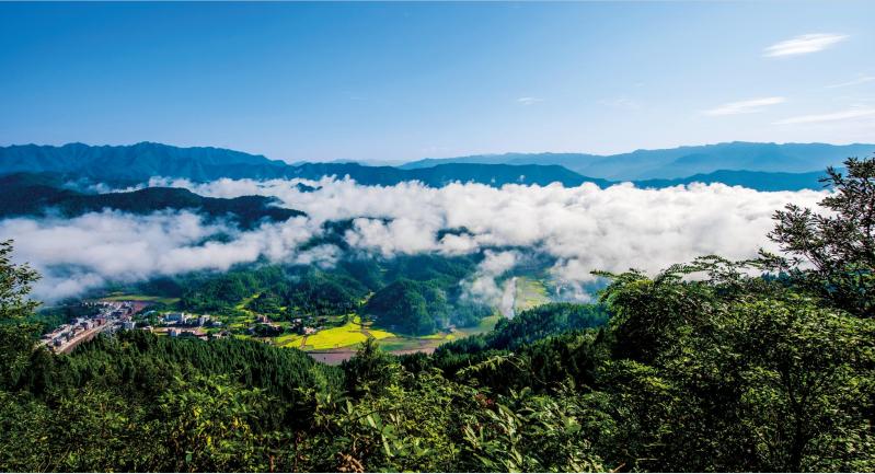 如果你要写通江，就不能只写通江