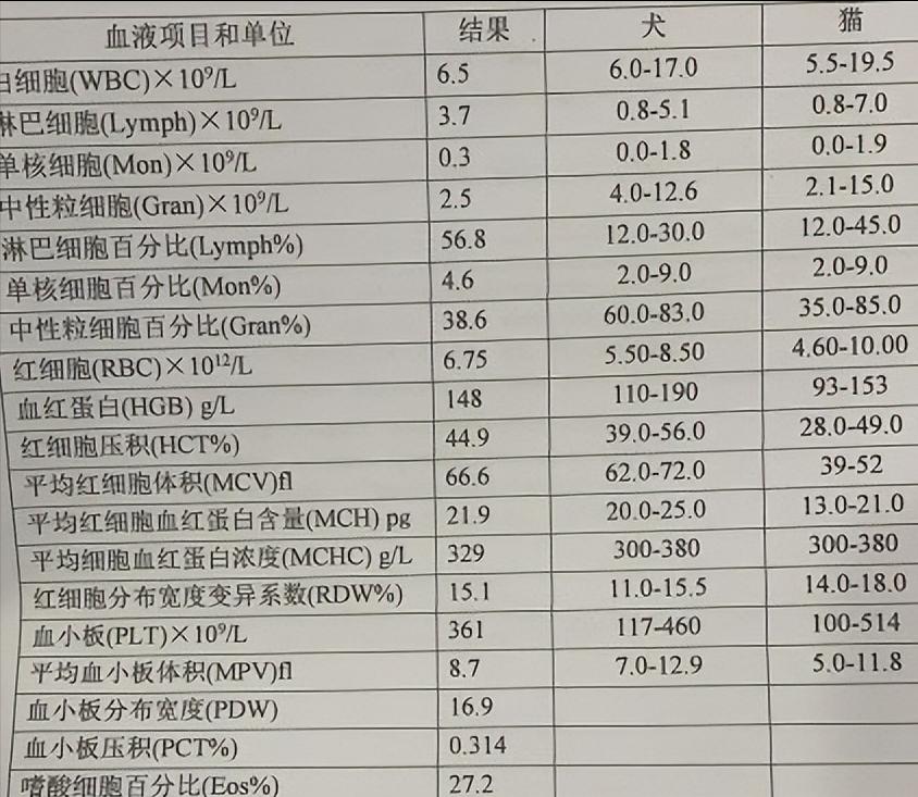 细小痊愈后多久能接触别的狗狗,细小治愈之后不活泼了