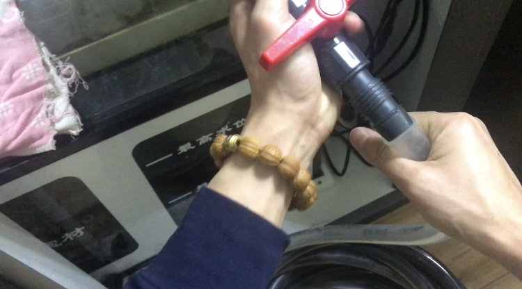 养鱼日记缸尾,养鱼日记底滤