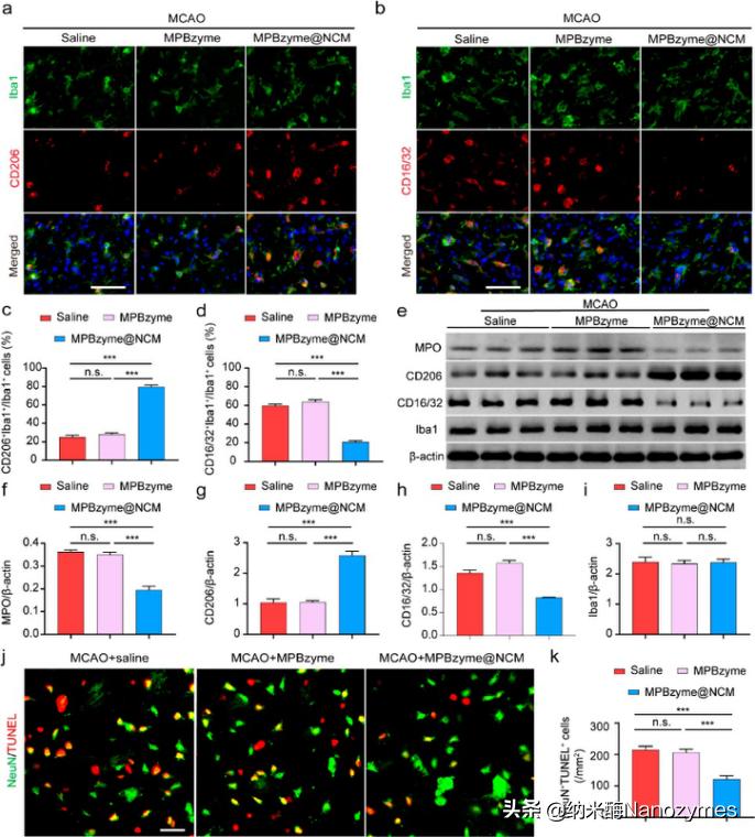 acsnano的影响因子,acsnano全是纳米类的吗