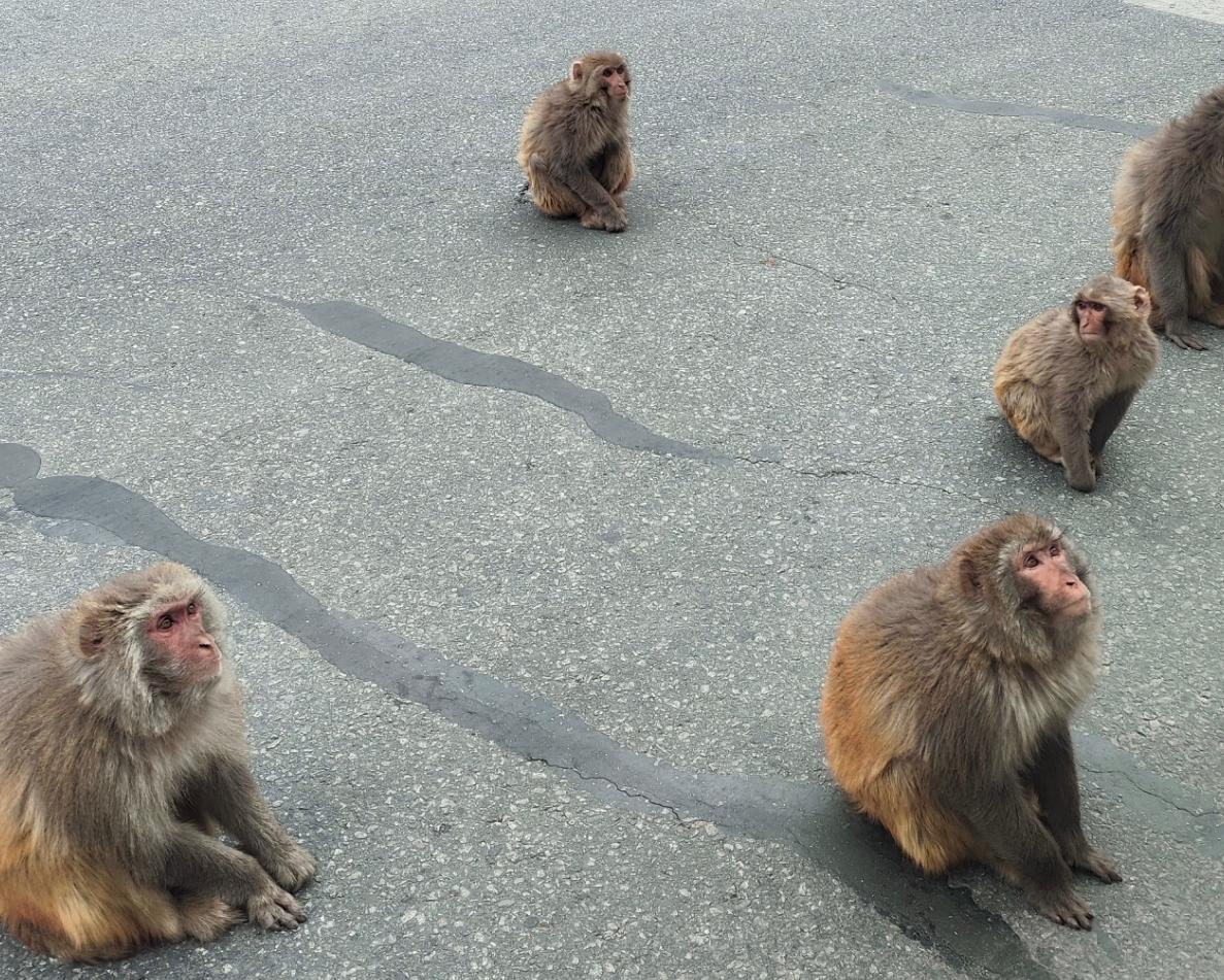 2个人去云南旅游5天多少钱,去北京穷游三天需要多少钱费用