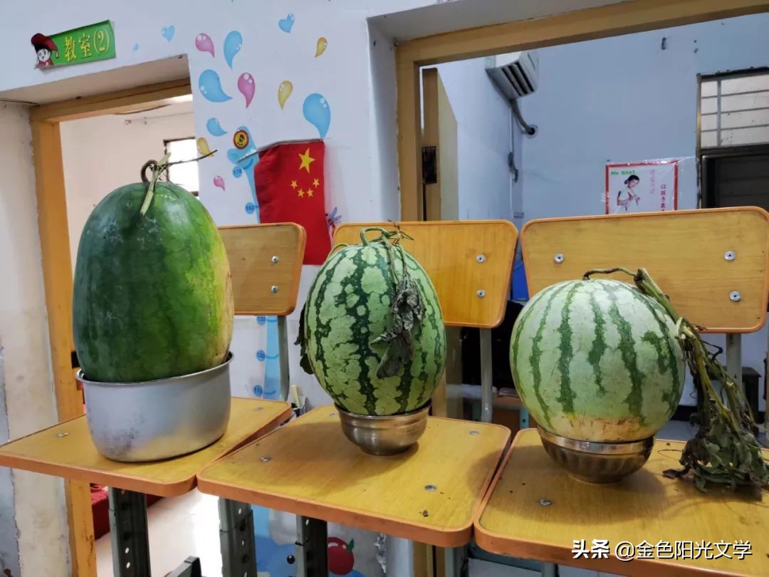 我的自画像独一无二,我的自画像范例