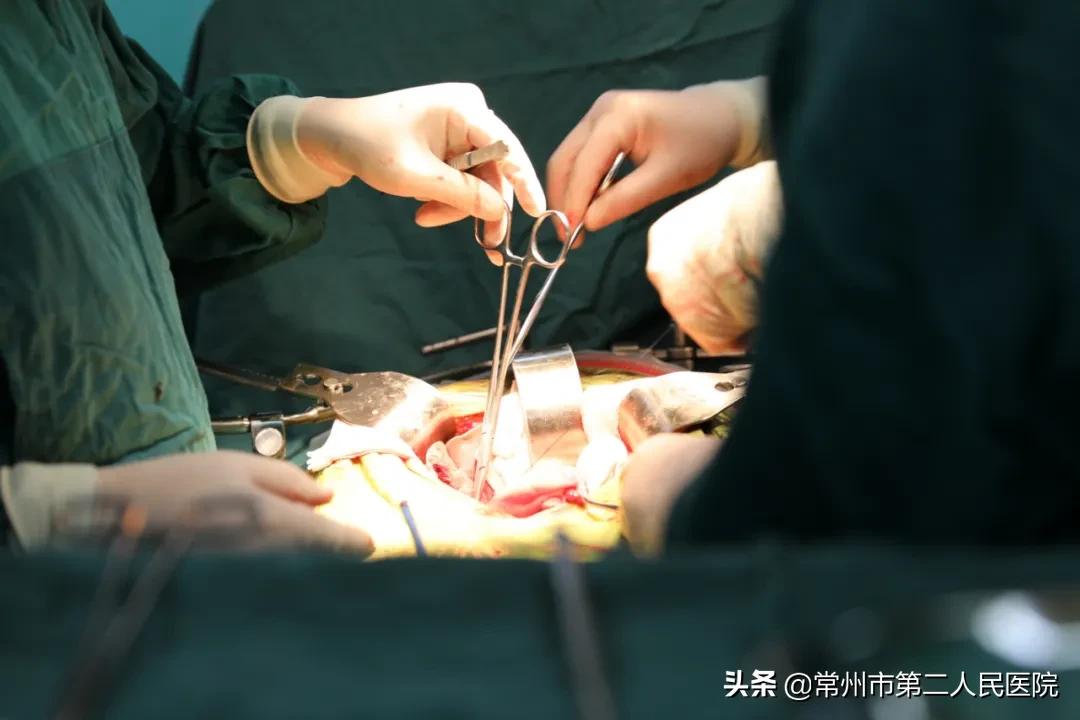 秦医生采访,秦医生的日记