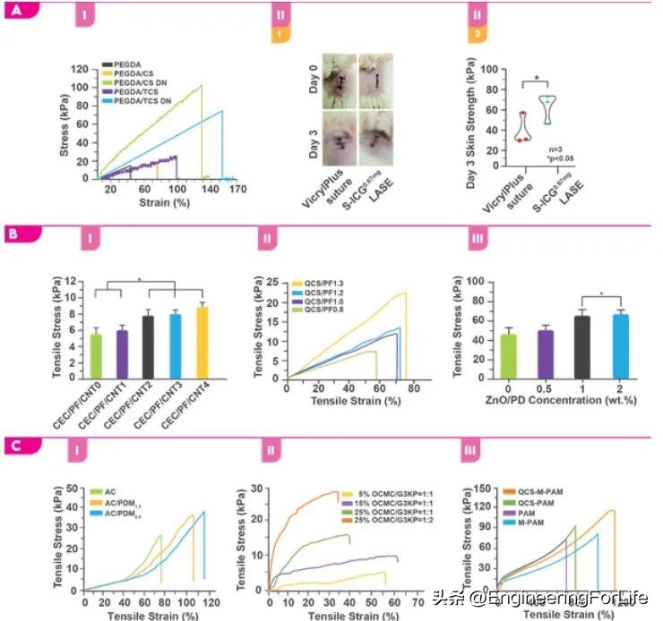 《AM》综述：对具有抗菌性能生物粘合剂的深度剖析