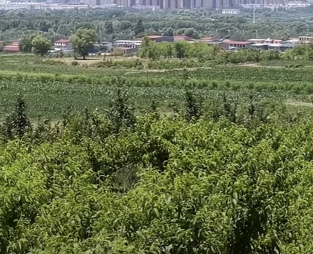 古城公园古民居游览景区,山西古城景区自驾游