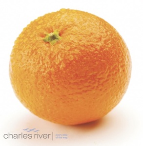 动物生病自己怎么治,动物生病了要怎么才能治病