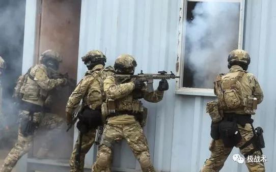 虎年说虎科普视频,虎年说虎运用了哪些说明方法