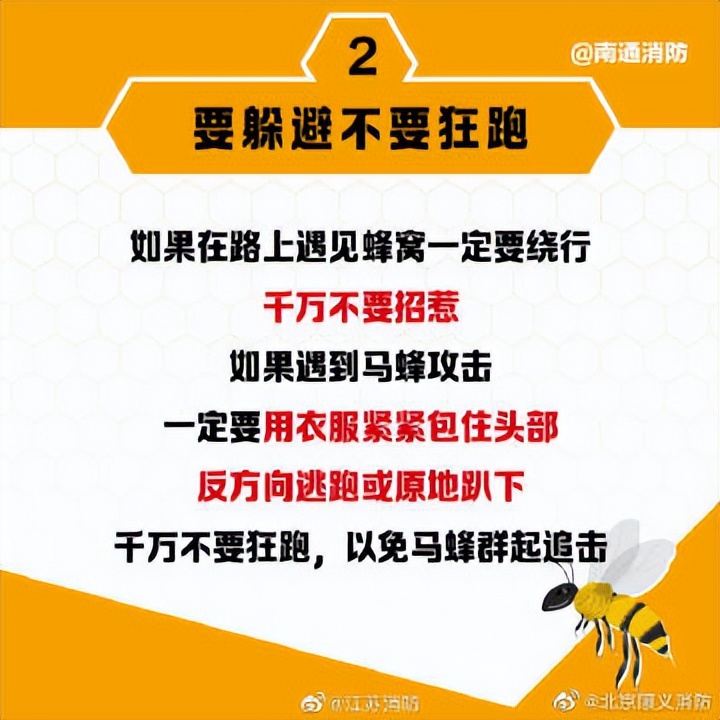 遇到马蜂袭击的视频,被马蜂袭击最快的时间