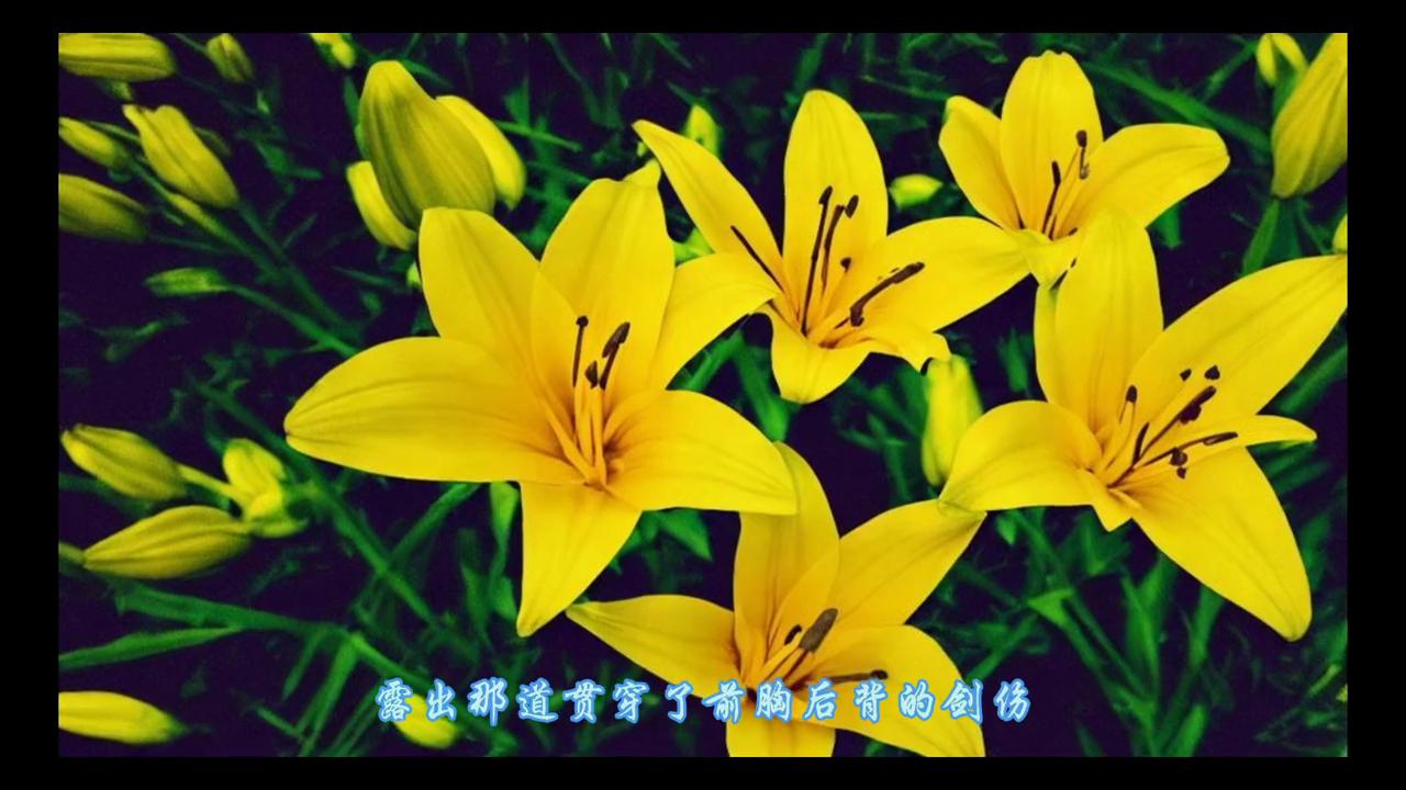 受伤严重,受伤严重的球员