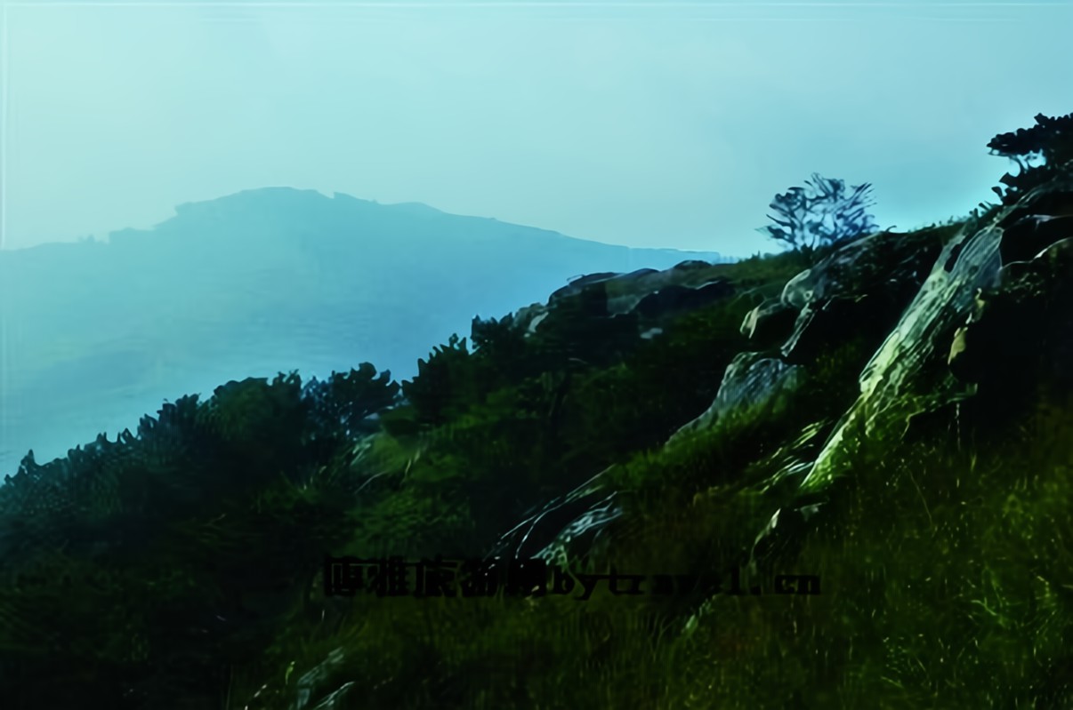 河南石佛寺玉雕工作室,河南南阳镇平玉雕之乡石佛寺