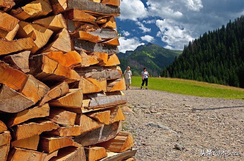 俄罗斯粗加工木材出口保护税期限延长，其余木材出口税有调整