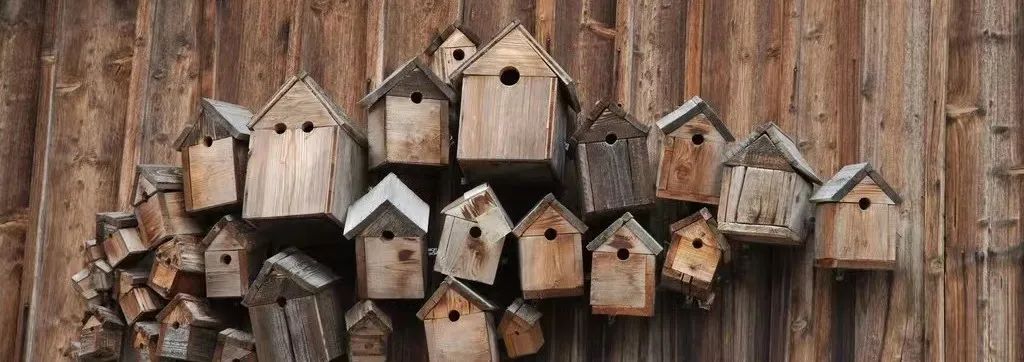 光明适合带孩子去的地方推荐,光明适合带小孩去玩水的地方