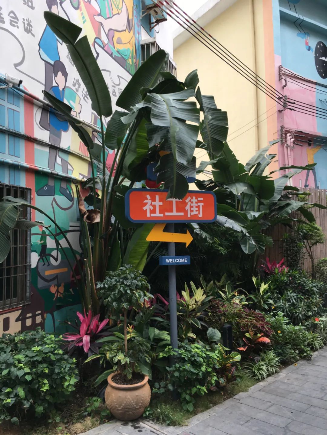 《旭光骑行深圳》第22站——龙华区观湖街道