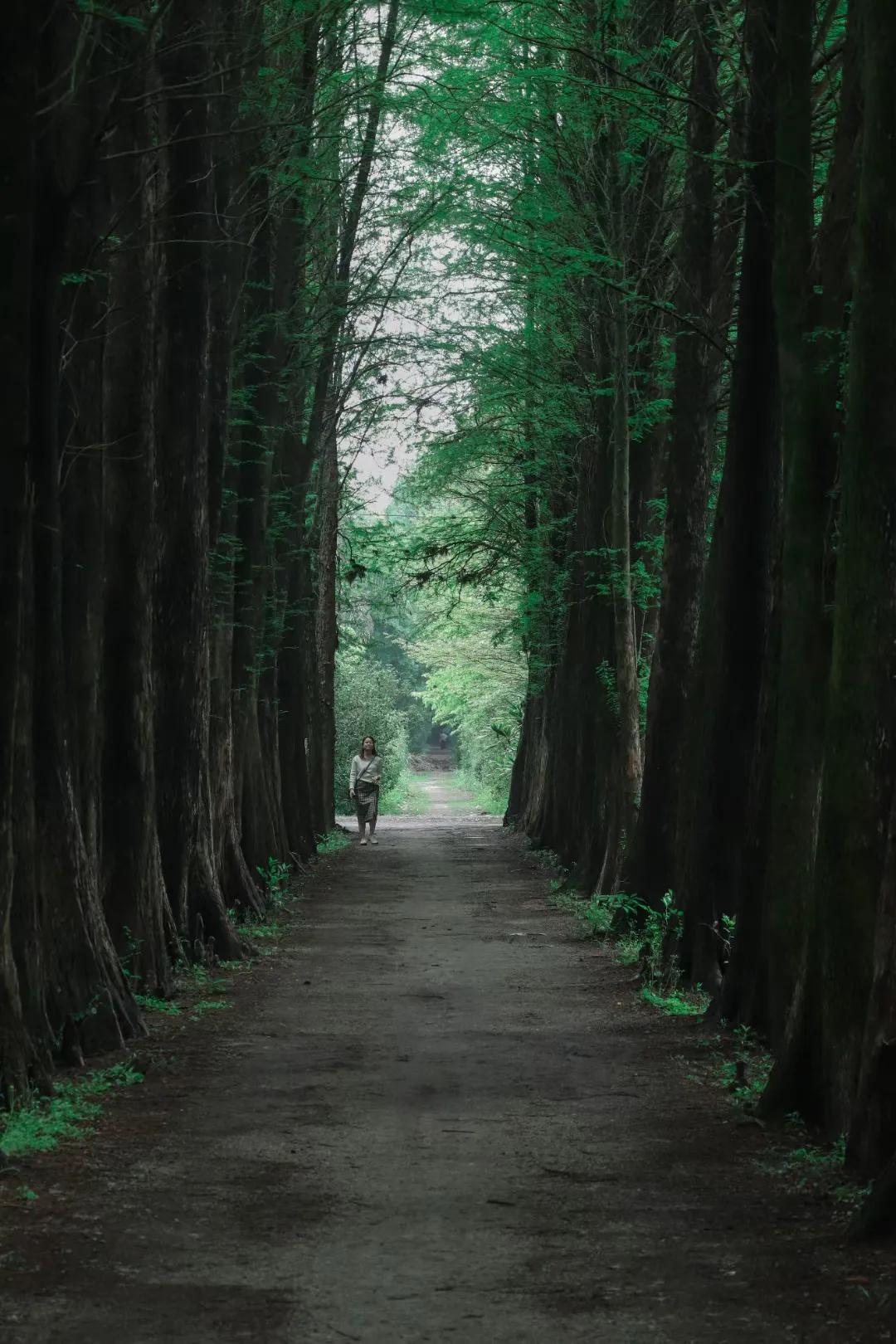 沉浸体验欧尚x5,最美的期待欧尚x5