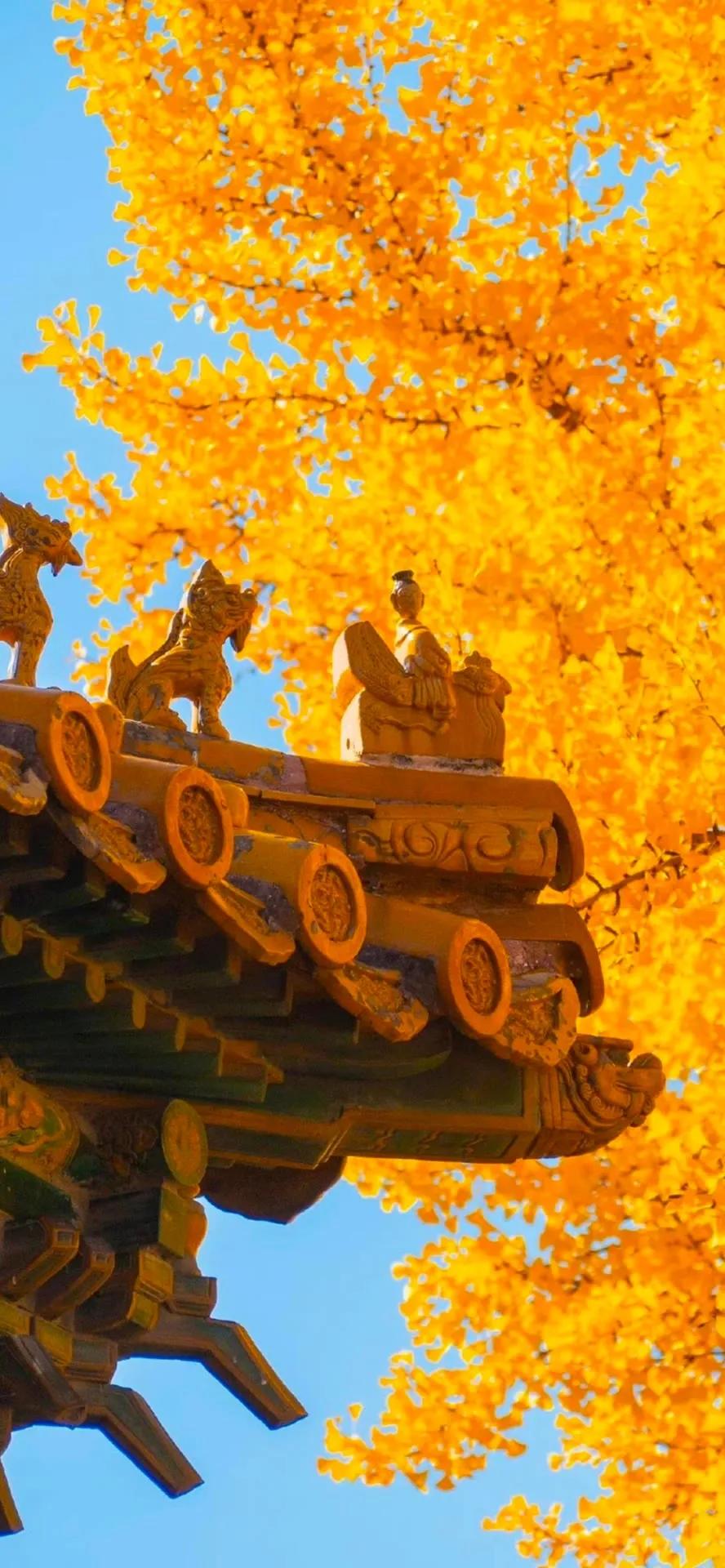 超高清海洋沙滩风景壁纸全屏,湛蓝的海水海滩风景高清壁纸